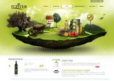 Donec euismod metus mauris