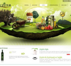 Donec euismod metus mauris