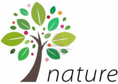 sit amet volutpat erat