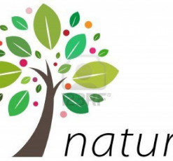 sit amet volutpat erat