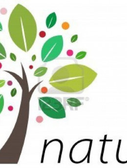 sit amet volutpat erat