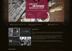 Maecenas at laoreet justo