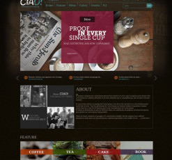 Maecenas at laoreet justo