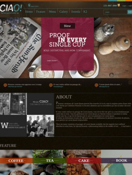 Maecenas at laoreet justo