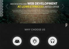 Sed vitae eleifend orci