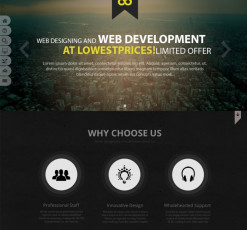 Sed vitae eleifend orci